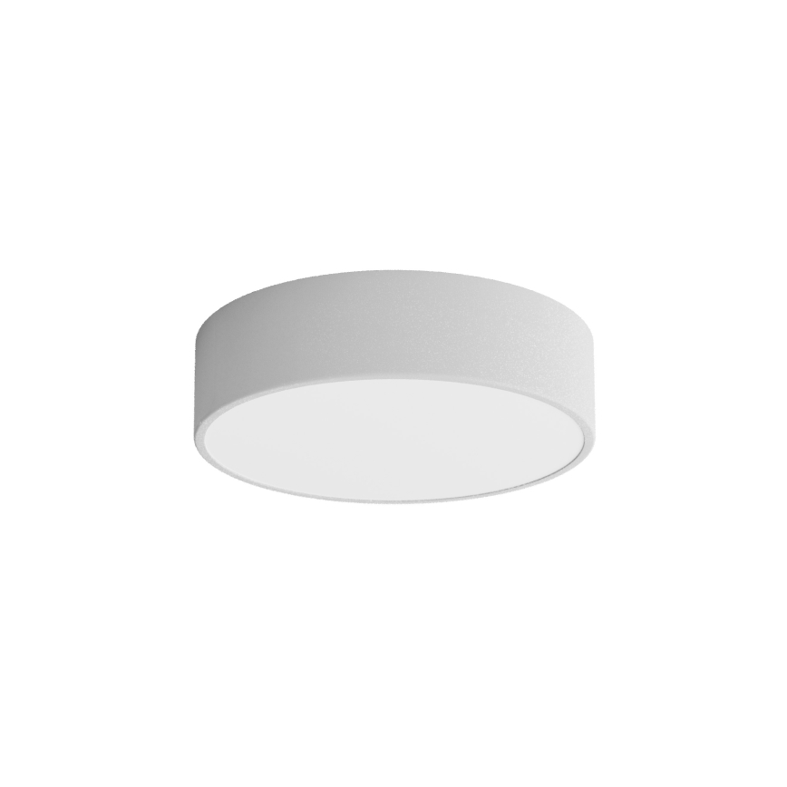 Āra griestu lampa ar sensoru CLEO 2xE27/24W/230V d. 30 cm pelēka IP54