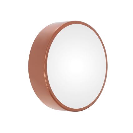 Āra griestu lampa ar sensoru CLEO 2xE27/24W/230V d. 30 cm vara IP54