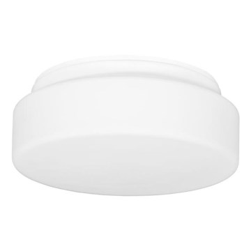 Āra griestu lampa HECTOR 1xE27/60W/230V d. 25 cm IP44 opāls balta