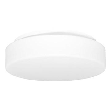 Āra griestu lampa HECTOR 1xE27/60W/230V d. 30 cm IP44 opāls balta