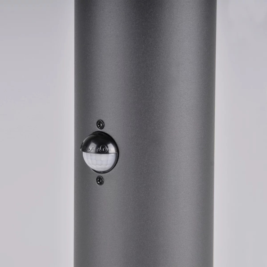 Āra lampa ar sensoru DALLAS 1xE27/12W/230V IP44 antracīta
