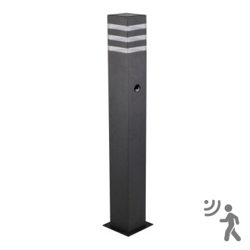 Āra lampa ar sensoru TEKSAS 1xE27/12W/230V IP44 74 cm grafīta