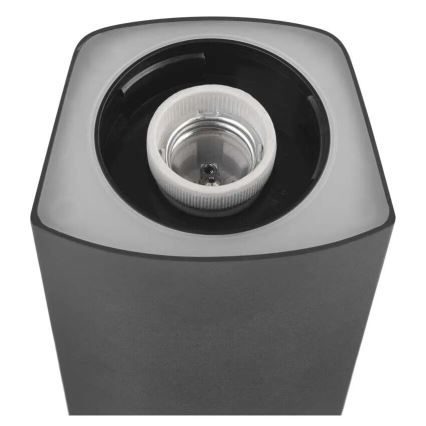 Āra lampa LANA 1xE27/25W/230V IP54 45 cm