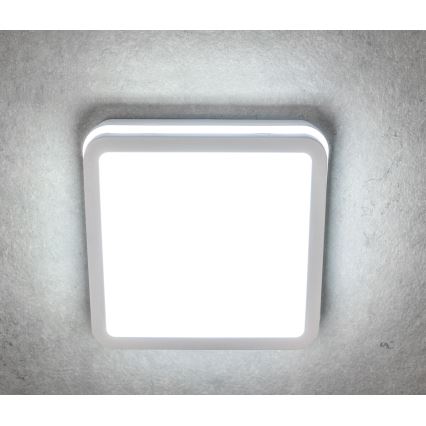 Āra LED griestu gaismeklis BENO LED/18W/230V IP54