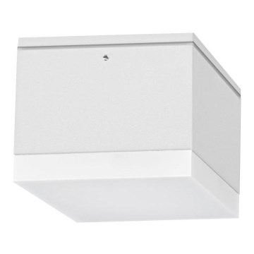 Āra LED griestu gaismeklis BRUNO LED/10W/230V IP54