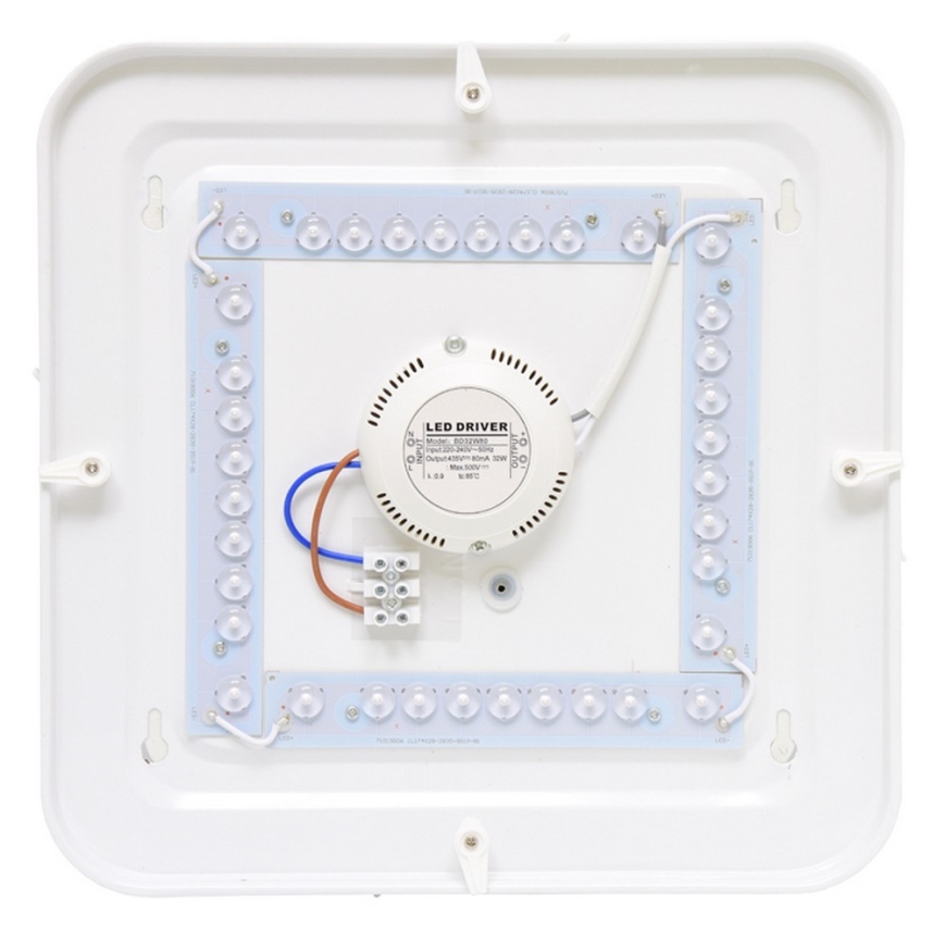 Āra LED griestu gaismeklis LUKA LED/42W/230V IP44