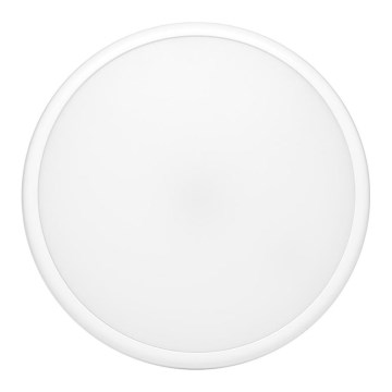 Āra LED griestu gaismeklis MOVA LED/16W/230V IP65