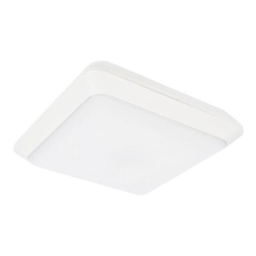 Āra LED griestu gaismeklis TIPO LED/24W/230V IP66