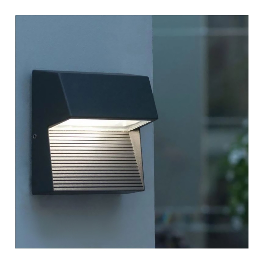 Āra LED sienas gaismeklis CARRI LED/3W/230V IP54