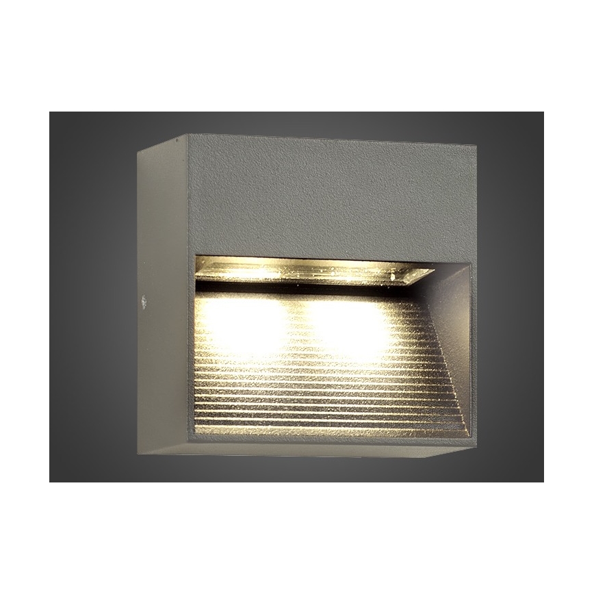 Āra LED sienas gaismeklis NINION LED/2W/230V IP54