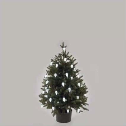 Āra LED virtene — 50 LED, 8 režīmi, 14,8 m, IP44, auksti balta