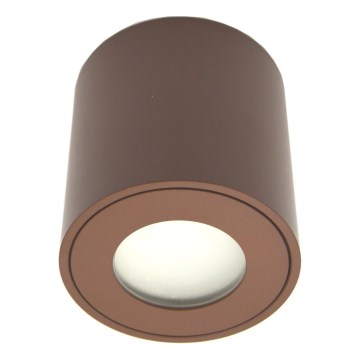 Āra prožektors FARA 1xGU10/30W/230V IP54 brūns