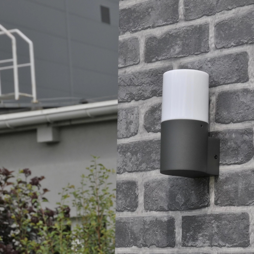 Āra sienas lampa DALLAS 1xE27/12W/230V IP44 grafīta