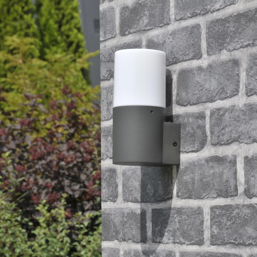 Āra sienas lampa DALLAS 1xE27/12W/230V IP44 grafīta