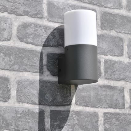 Āra sienas lampa DALLAS 1xE27/12W/230V IP44 grafīta