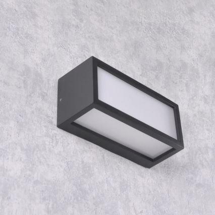 Āra sienas lampa MITO 1xE27/12W/230V IP54