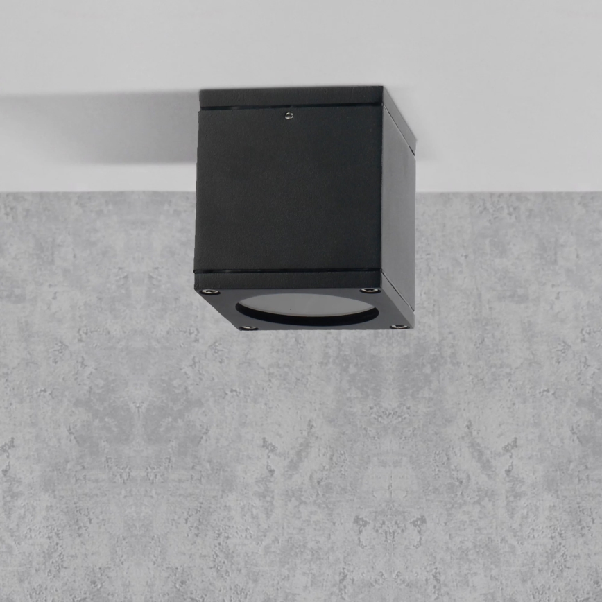 Āra sienas lampa MORRIS 1xGU10/35W/230V IP54