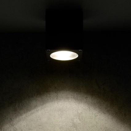 Āra sienas lampa MORRIS 1xGU10/35W/230V IP54