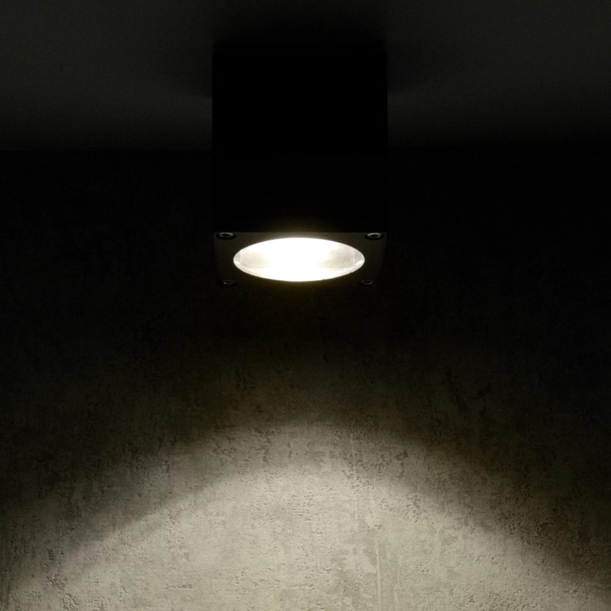 Āra sienas lampa MORRIS 1xGU10/35W/230V IP54