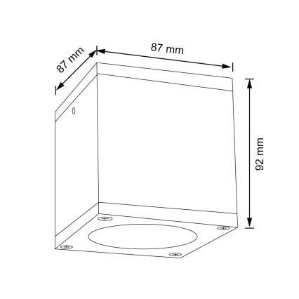 Āra sienas lampa MORRIS 1xGU10/35W/230V IP54