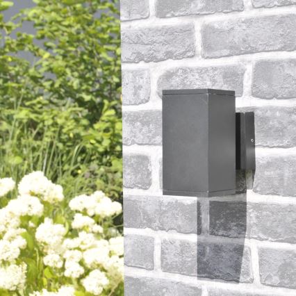 Āra sienas lampa MORRIS 2xGU10/35W/230V IP54
