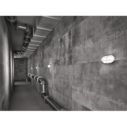 Āra sienas lampa OVAL 1xE27/60W/230V balta IP44