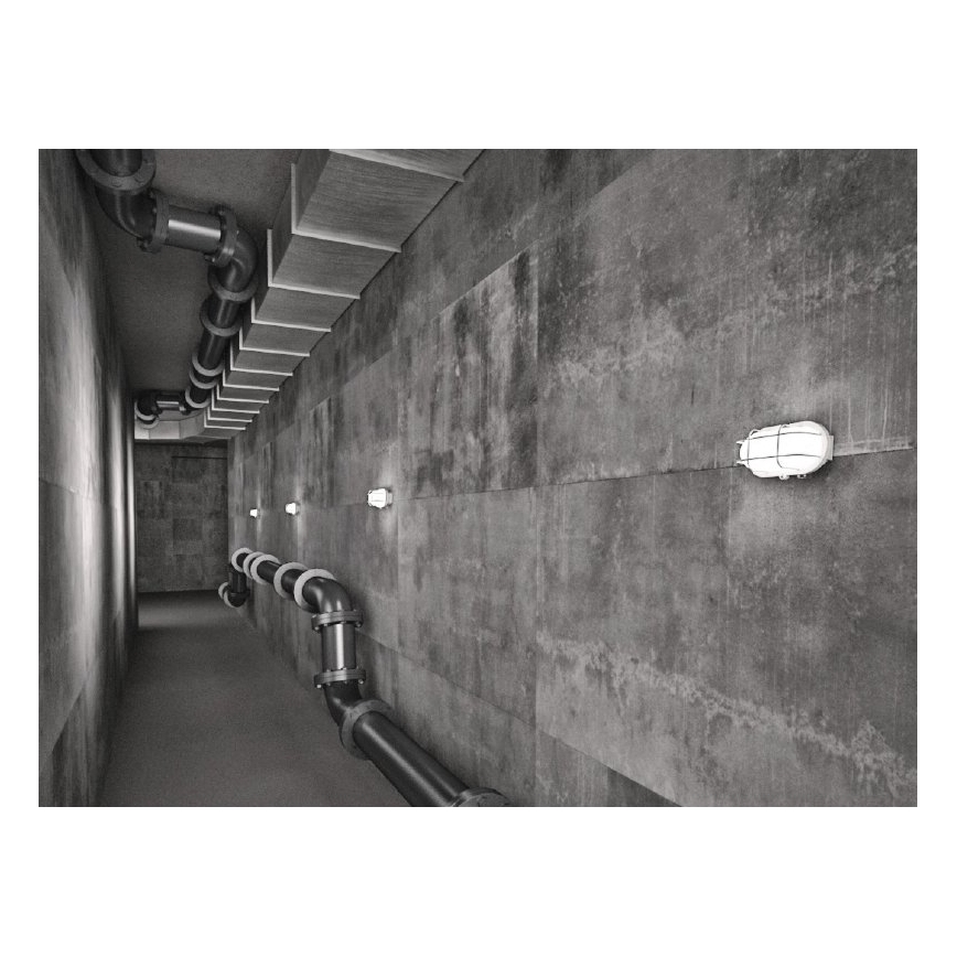 Āra sienas lampa OVAL 1xE27/60W/230V balta IP44