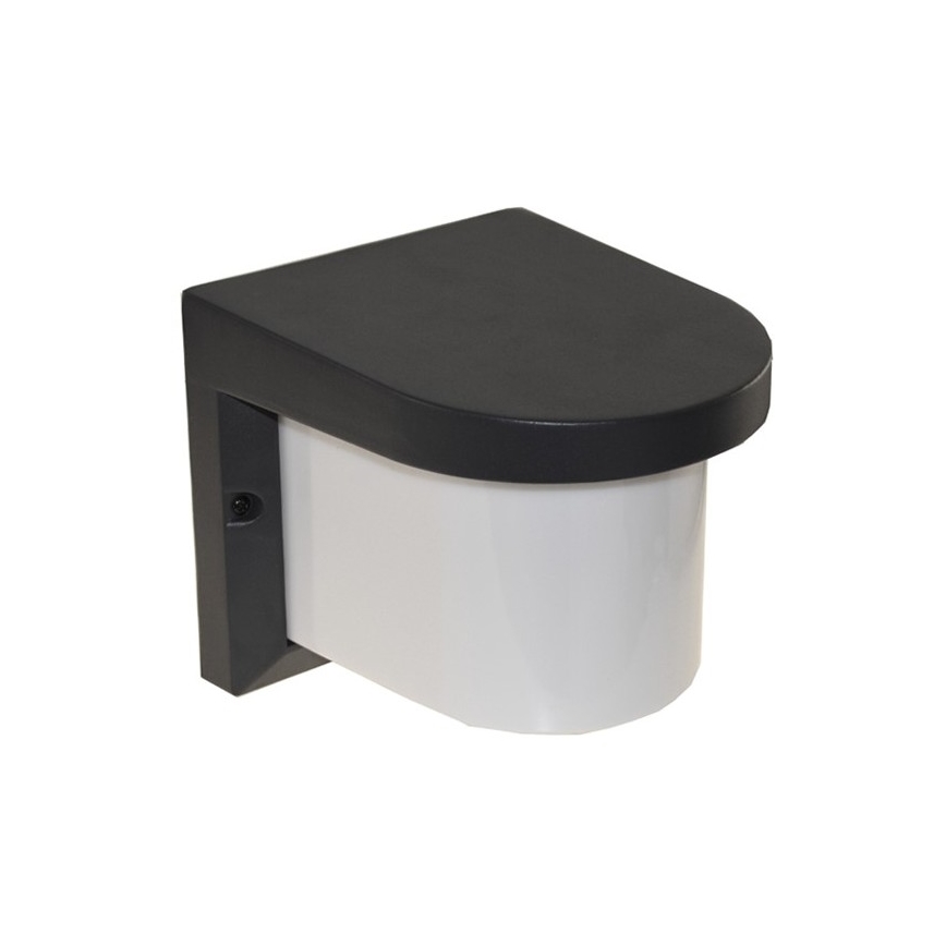Āra sienas lampa PETUNIA 1xE27/60W/230V IP44 antracīta
