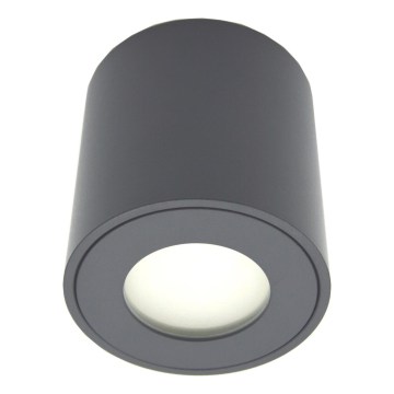 Āra virziena gaismeklis FARA 1xGU10/30W/230V IP54 melns