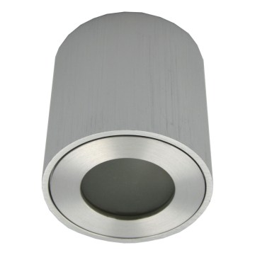 Āra virziena gaismeklis FARA 1xGU10/30W/230V IP54 sudraba