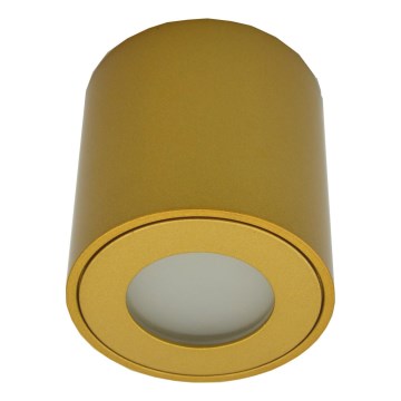 Āra virziena gaismeklis FARA 1xGU10/30W/230V IP54 zelta