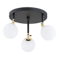 Argon 1436 - Vannas istabas virsmas montēta griestu lampa LATINA 3xE14/40W/230V IP44