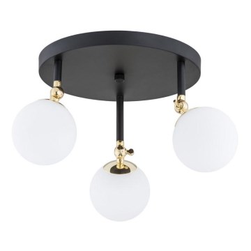 Argon 1436 - Vannas istabas virsmas montēta griestu lampa LATINA 3xE14/40W/230V IP44