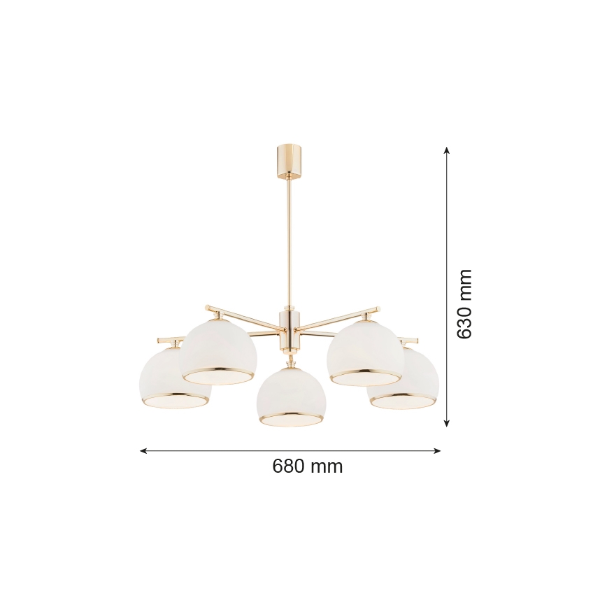 Argon 2088 - Lustra on a pole MARBELLA 5xE27/15W/230V misiņš