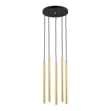 Argon 2109 - LED Lustra ar auklu SICILIA 5xLED/4,5W/230V