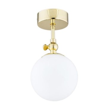 Argon 4001 - Vannas istabas griestu lampa LATINA 1xE14/40W/230V IP44