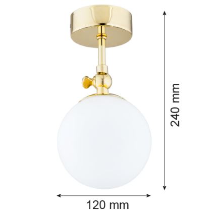 Argon 4001 - Vannas istabas virsmas griestu lampa LATINA 1xE14/40W/230V IP44