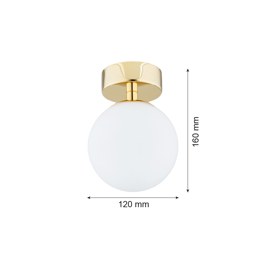 Argon 4004 - Griestu lampa FLAVIO 1xE14/7W/230V