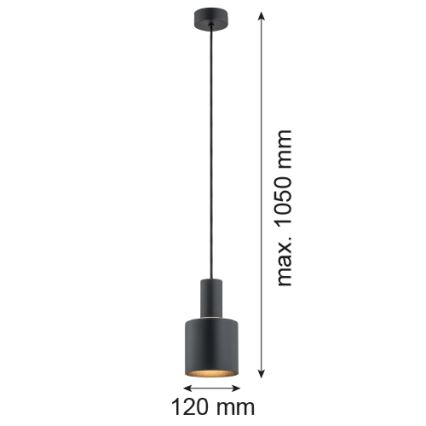 Argon 4219 - Lustra ar auklu SINES 1xE27/15W/230V d. 12 cm melna