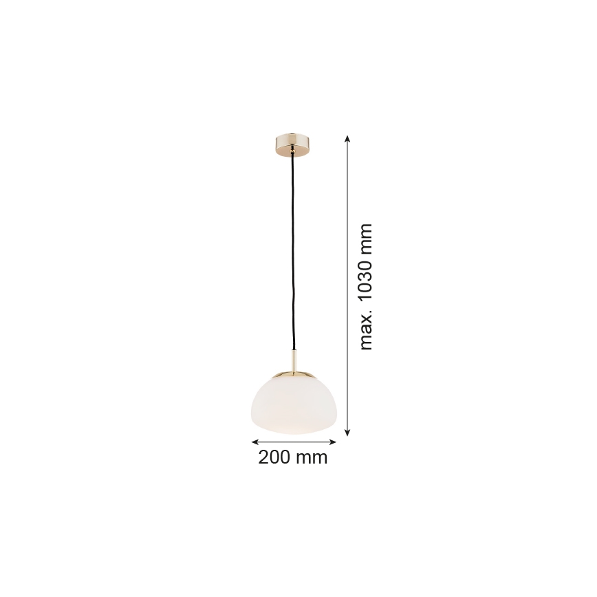 Argon 4352 - Lustra ar auklu TRINI 1xE27/15W/230V d. 20 cm zelta