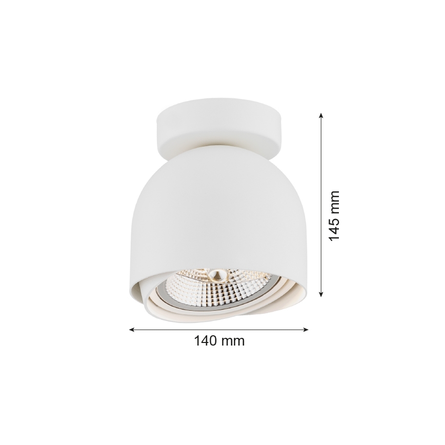 Argon 4710 - Starmetis GARLAND 1xGU10-AR111/12W/230V balts