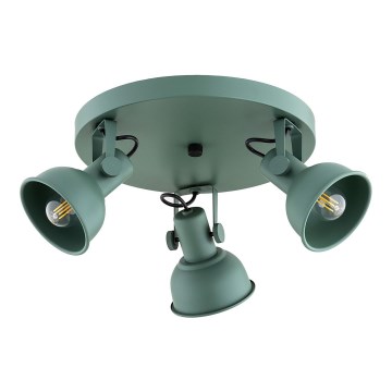 Argon 6265 - Starmetis LENORA 3xE14/7W/230V zaļa
