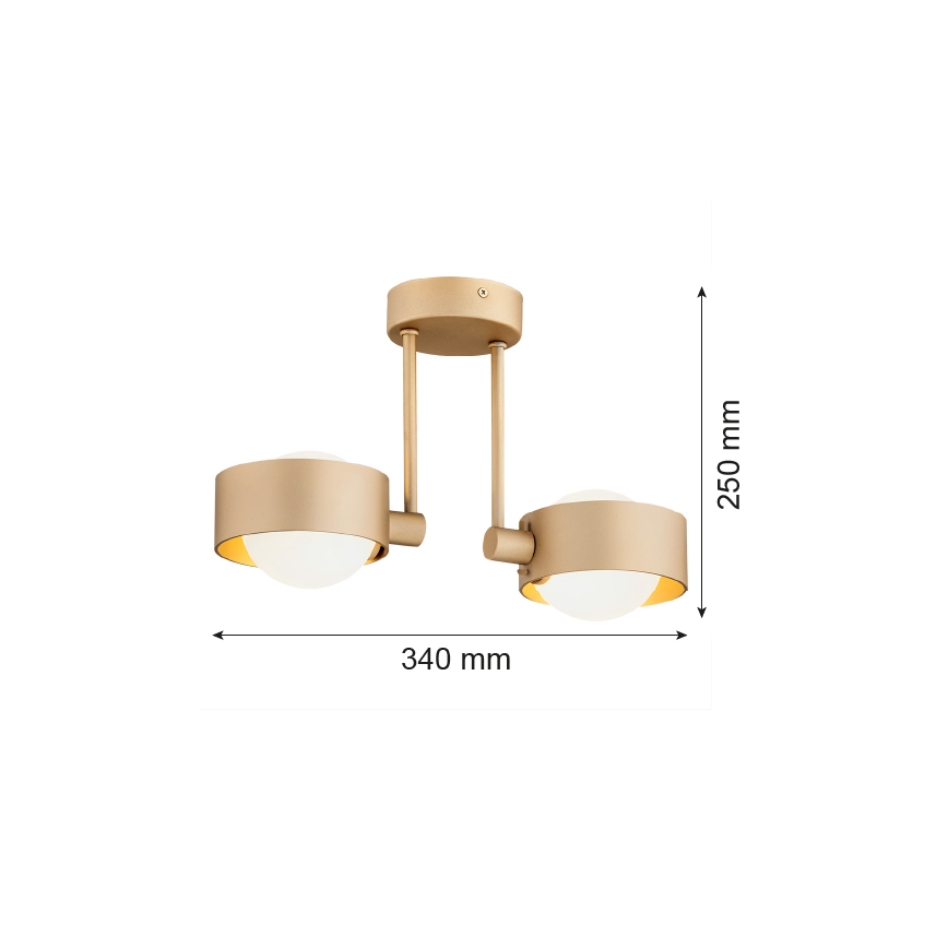 Argon 7215 - Vannas istabas lustra ar stieni MASSIMO PLUS 2xG9/6W/230V IP44 zelta