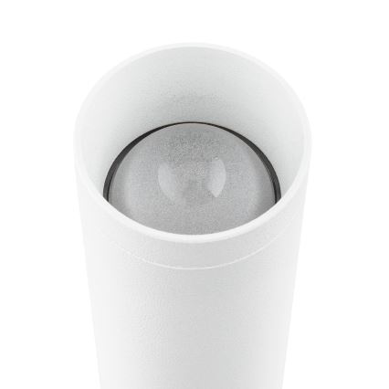 Argon 7223 - LED Sienas lampa GRECO 2xLED/4,2W/230V 3000K balta