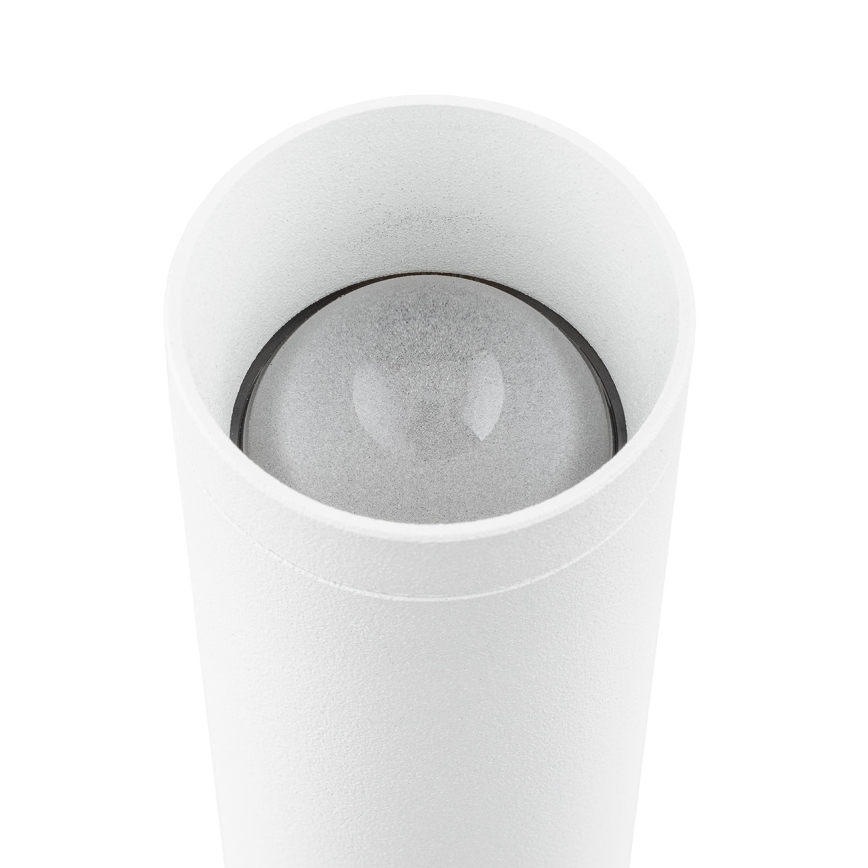 Argon 7223 - LED Sienas lampa GRECO 2xLED/4,2W/230V 3000K balta