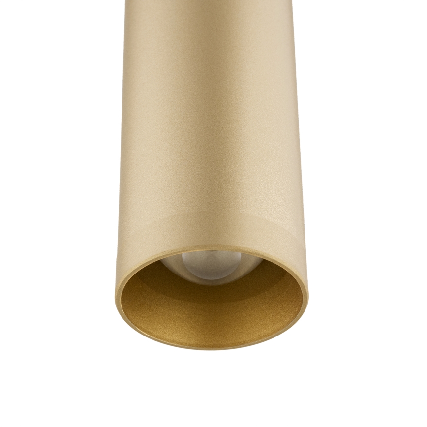 Argon 8327 - LED Lustra ar auklu RIO LED/4,2W/230V 3000K zelta