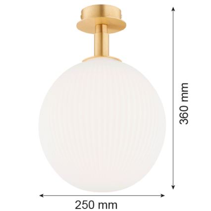Argon 8505 - Griestu lampa PALOMA 1xE27/15W/230V zelta/balta