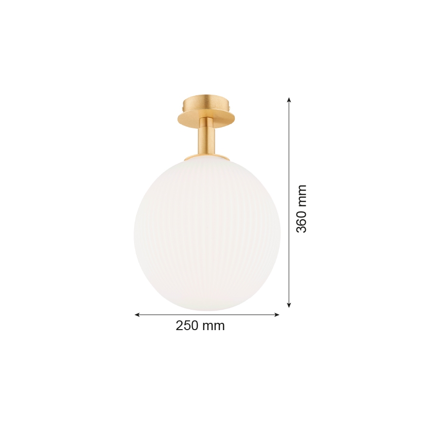 Argon 8505 - Griestu lampa PALOMA 1xE27/15W/230V zelta/balta