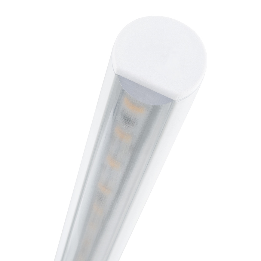 Argon 8598 - LED Attēla lampa MIRIAM LED/10,8W/230V 3000K 60 cm balta