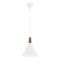 Argon 8630 - Lustra ar auklu KEGEL 1xE27/15W/230V balta